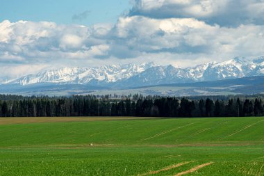 Tatra dağlarının güzel manzarası. Arka planda dağlar, ön planda çayırlar ve ormanlar