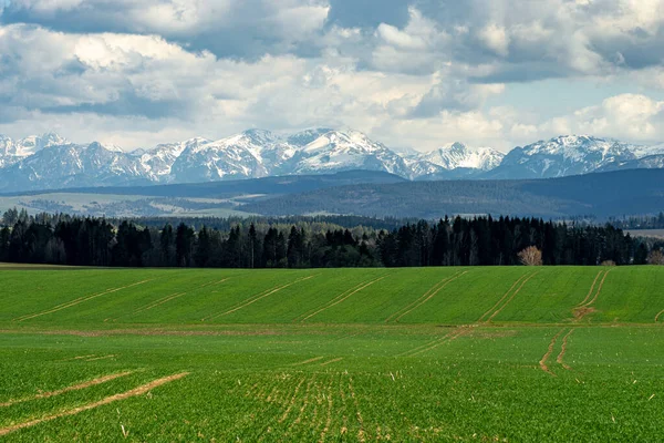 Beautiful View Tatra Mountains Mountains Background Meadows Forests Foreground — Stock Photo, Image