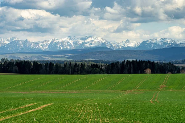 Vacker Utsikt Över Tatrabergen Berg Bakgrunden Ängar Och Skogar Förgrunden Royaltyfria Stockbilder