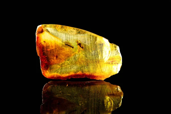 Fantastisk Baltisk Amber Med Förhistoriska Flugor Frusna Den Isolerad Med Stockbild