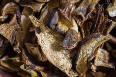 Bir sürü kurutulmuş orman mantarı. Yakın çekim, üst manzara.