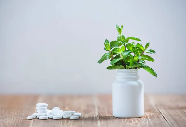 Comparação Comprimidos Medicina Moderna Com Plantas Medicinais Medicina Tradicional Uma — Fotografia de Stock