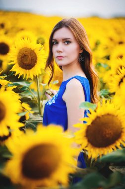 Gün batımında çiçek açan ayçiçekleri olan bir tarlada uzun saçlı güzel, narin bir kız.