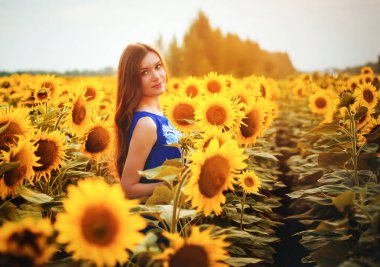 Gün batımında çiçek açan ayçiçekleri olan bir tarlada uzun saçlı güzel, narin bir kız.
