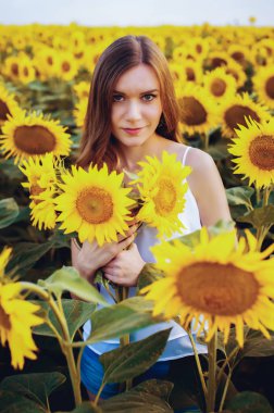 Gün batımında çiçek açan ayçiçekleri olan bir tarlada uzun saçlı güzel, narin bir kız.