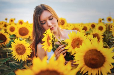 Gün batımında çiçek açan ayçiçekleri olan bir tarlada uzun saçlı güzel, narin bir kız.