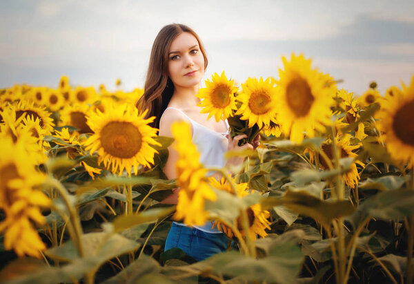 Beautiful young slender girl with long hair in a field with blooming sunflowers at sunset