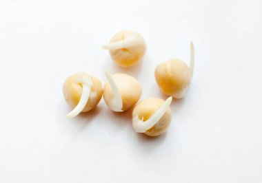 Tomurcuklanmış bezelyeler beyaz bir arkaplanda izole edilmiş.