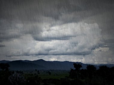 Pirinç ve yağmur / fotoğraf efekti