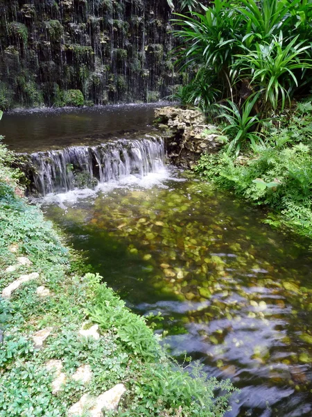 Petit ruisseau d'eau en forêt — Photo