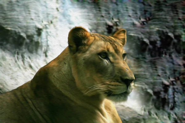 Pittura ad olio leone femmina — Foto Stock