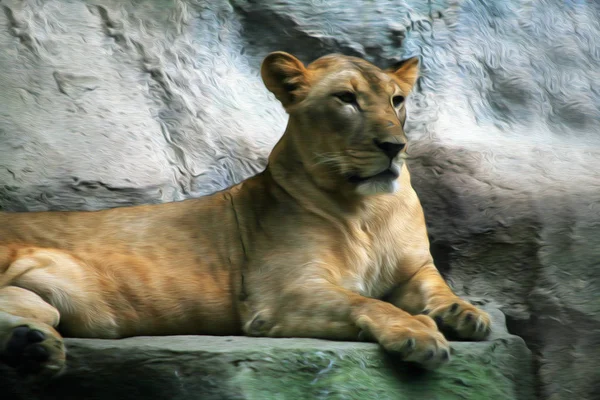 Oil painting female lion — Stock Photo, Image