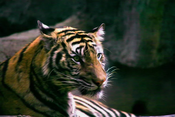 Pintura al óleo Tigre — Foto de Stock