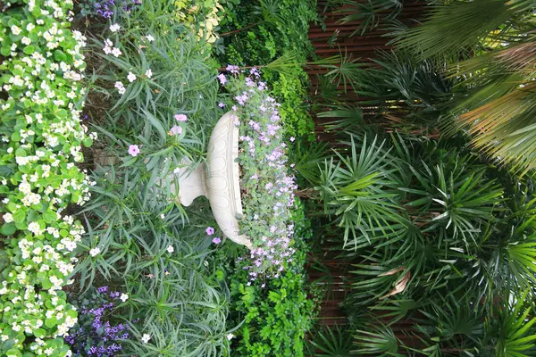 Pembe çiçek bahçesi — Stok fotoğraf