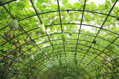 Clean streets and bicycle lane