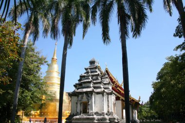 Golden Pagoda Kuzey Tayland Antik Tapınağı'nda