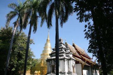Golden Pagoda Kuzey Tayland Antik Tapınağı'nda