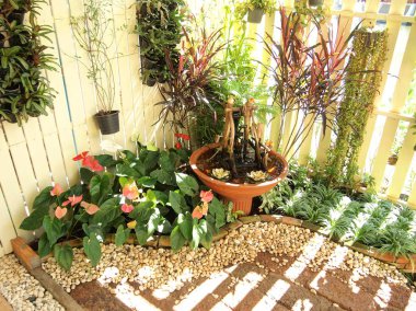 Küçük açık Bahçe / Bahçe yaz