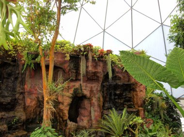 Tropikal kubbe bitkiler Tayland