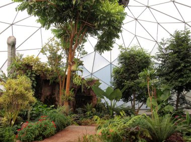 Tropikal kubbe bitkiler Tayland