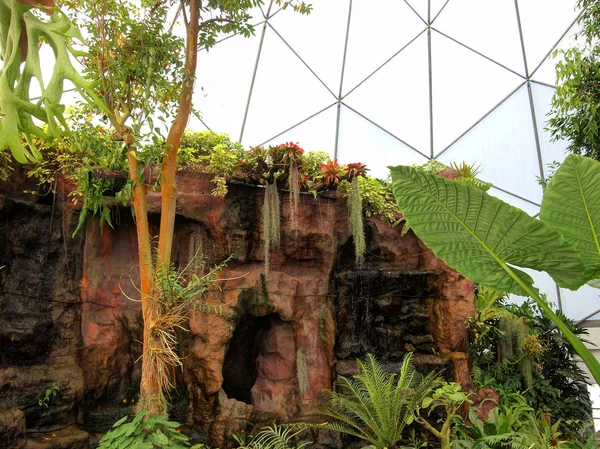 Plantas de cúpula tropical en Tailandia — Foto de Stock