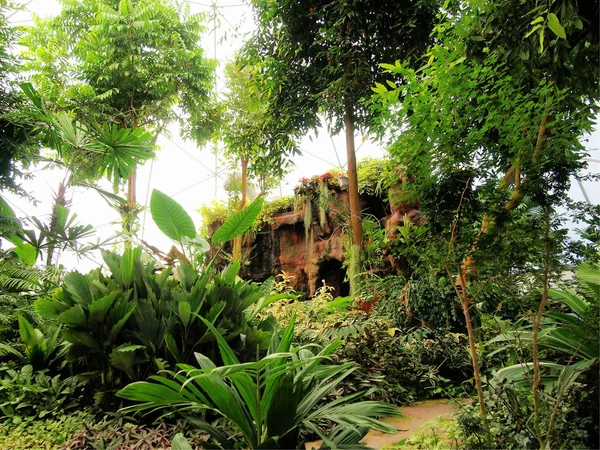 Plantas de cúpula tropical na Tailândia — Fotografia de Stock