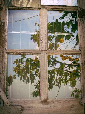 eski ahşap pencere 