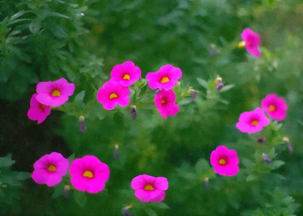Ροζ λουλούδι ακουαρέλα / τέχνη αποτέλεσμα φωτογραφία — Φωτογραφία Αρχείου