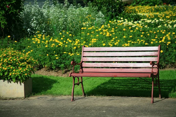 Gelbe Blumen Garten — Stockfoto