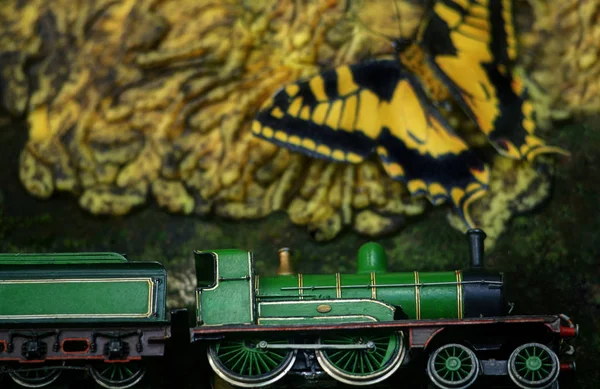 蒸汽机和蝴蝶 — 图库照片
