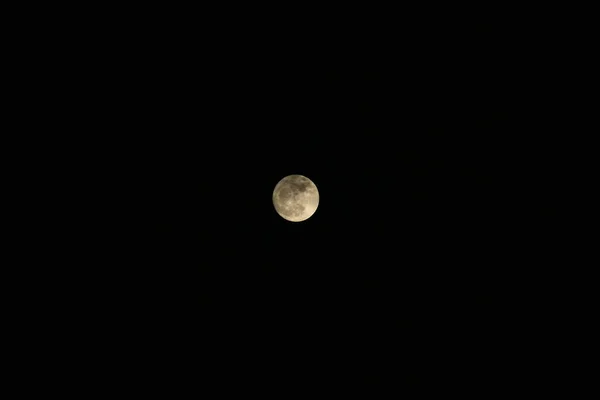 Full Moon / The Moon — Stock Photo, Image