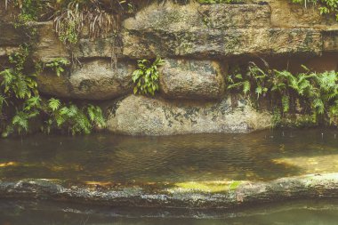 Şelale, kayalar ve ağaçlar / arka plan fotoğraf: film tarzı fotoğraf