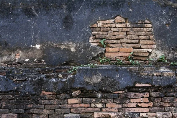 Antik duvar doku / Antik tuğla duvar