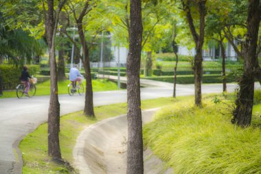 Şehir sokaklarını çevrili ağaçlar ve doğa tarafından Bisiklete binme