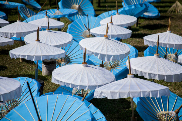 Production of paper umbrellas  / Paper umbrellas 