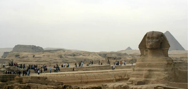 Giza 'da Sfenks Lion — Stok fotoğraf