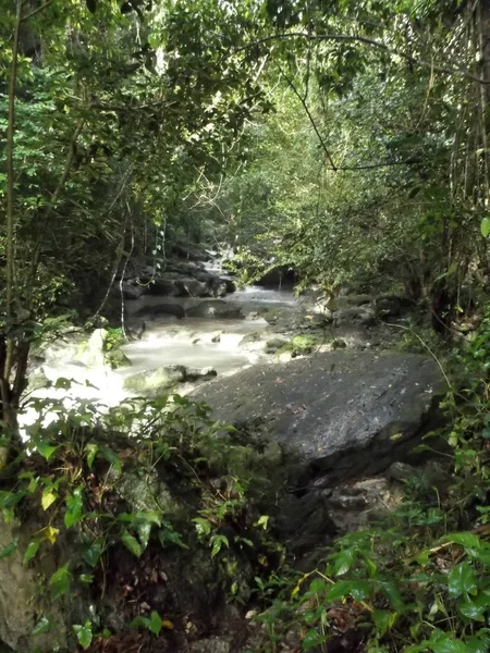 波多黎各圣塞巴斯蒂安瀑布戈扎兰迪亚瀑布 — 图库照片