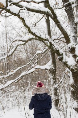 Kız güzel kar yağışı sırasında karlı ormandaki