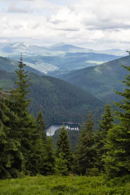 Dağlar arasında yeşil ormandaki göl