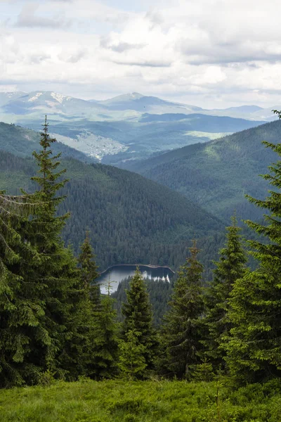 Dağlar arasında yeşil ormandaki göl