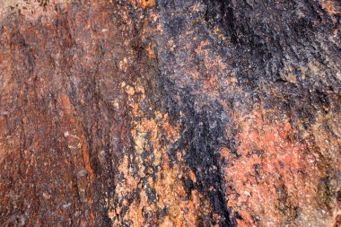 Rock Surface background 