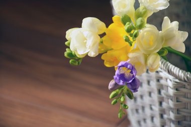 Frezya çiçek sepet içinde