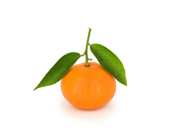 beyaz izole clementine