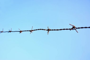 Dikenli tel mavi gökyüzüne karşı yakın çekim 