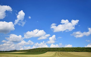 Canlı mavi gökyüzü ile pastoral yeşil alanlar 