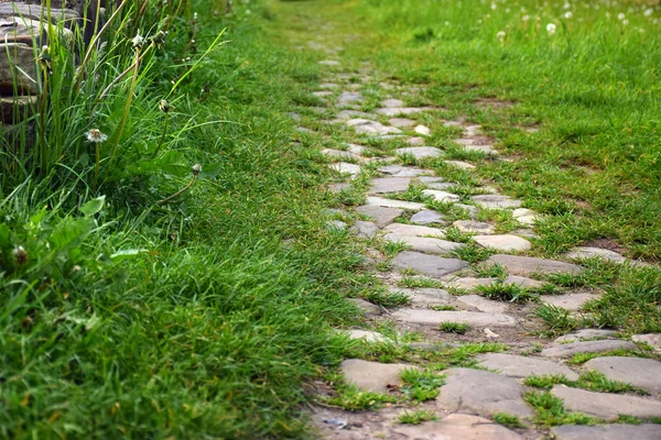 Каменная Дорожка Парке Фоне Зеленой Травы — стоковое фото