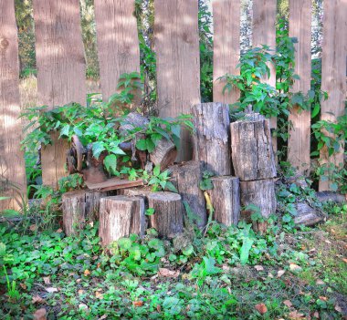 Çiftlikte eski günlükleri