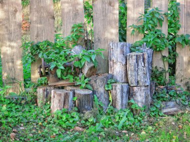 Çimenlerin üzerinde eski günlükleri