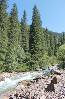 dağ, dağ Turgen geçit