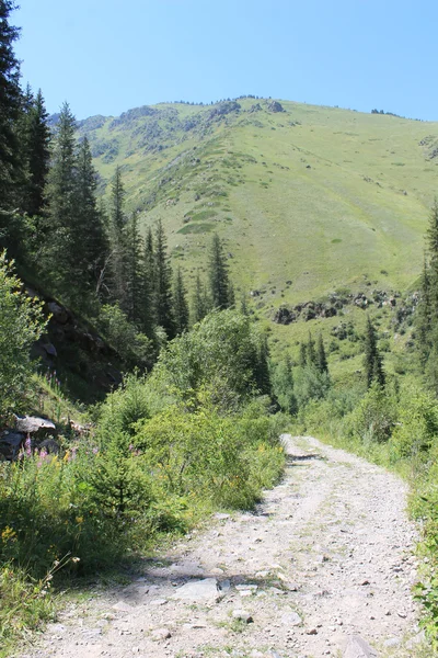 dağ, dağ Turgen geçit